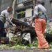 Firefighters work to clear an uprooted tree from a street in Mumbai on May 18, 2021, after Cyclone Tauktae hit the west coast of India with powerful winds and driving rain, leaving at least 24 people dead and almost 100 missing. (Photo by Sujit JAISWAL / AFP)