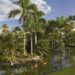 Gardens. Tropical birds and flamencos.