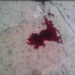 Foto referencial
